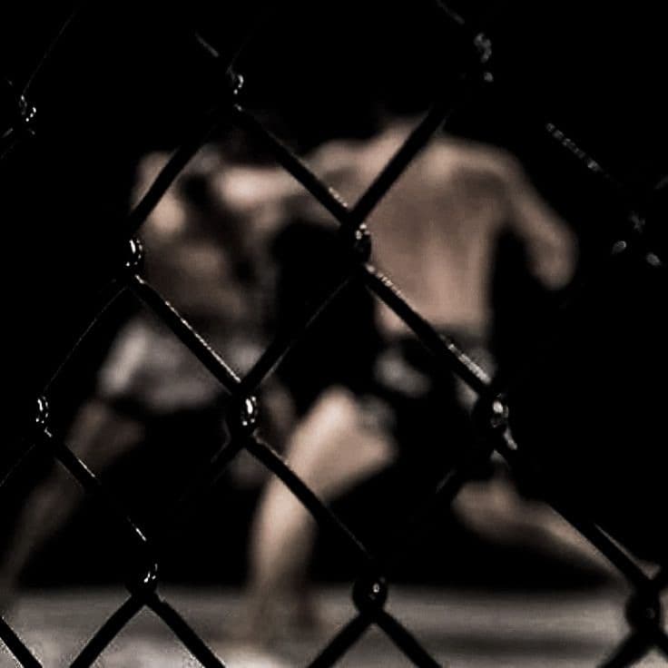Fighters in the cage